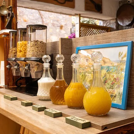 Terra Minoika Boutique Lejlighed